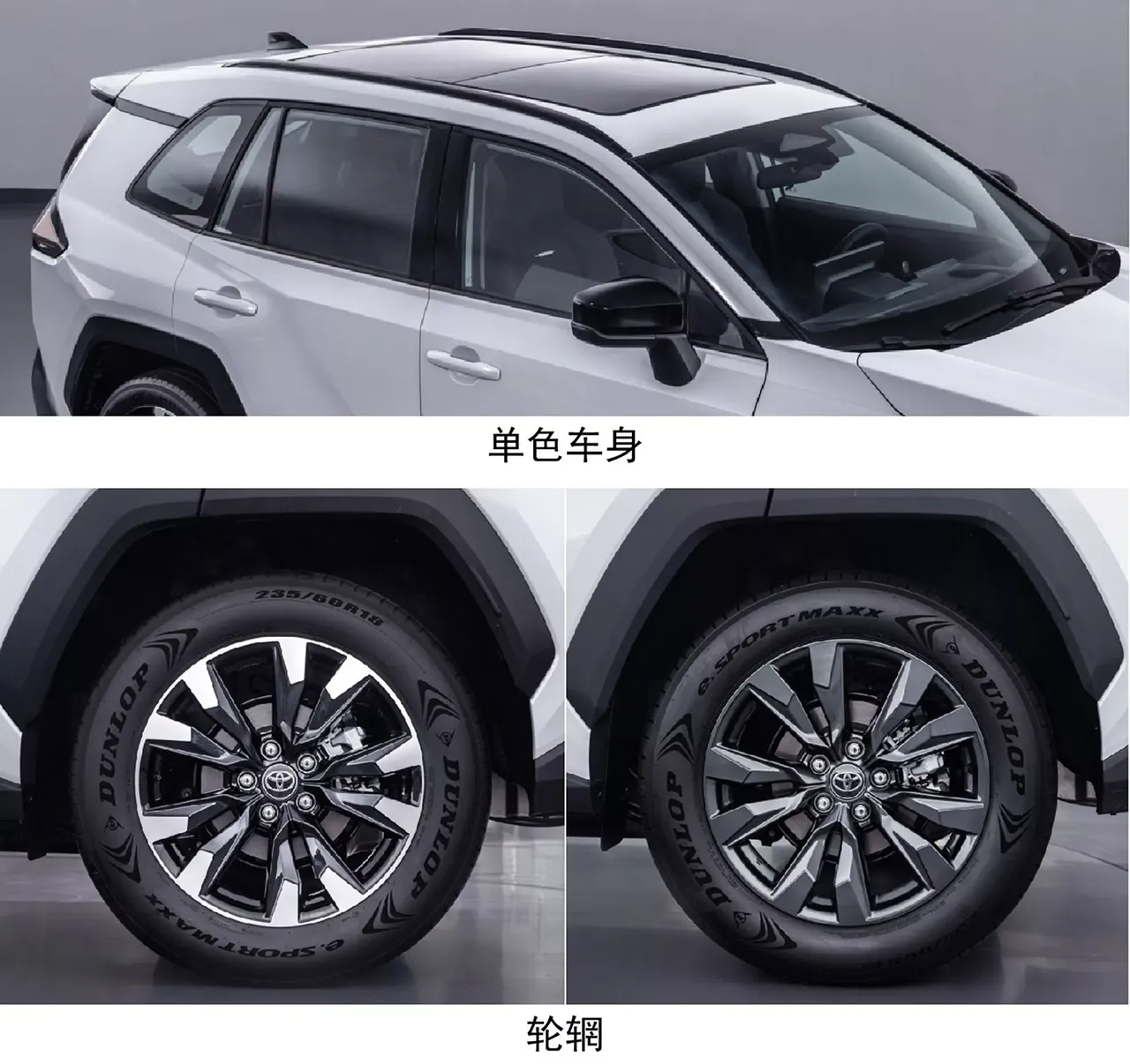 automobilefa Wildlander 14040518 2