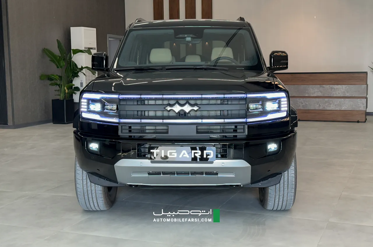 AutomobileFa Tigard Leopard 5 14041206 10