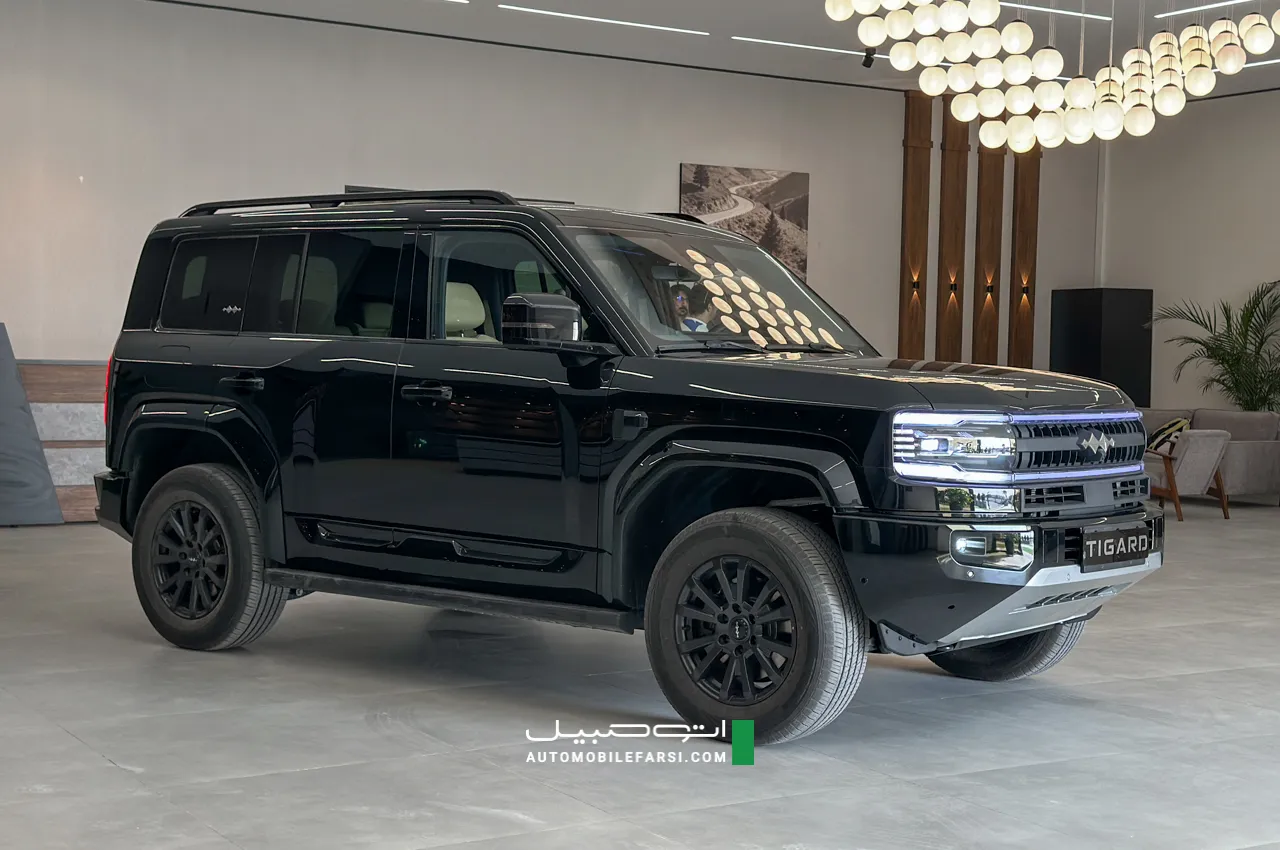 AutomobileFa Tigard Leopard 5 14041206 13