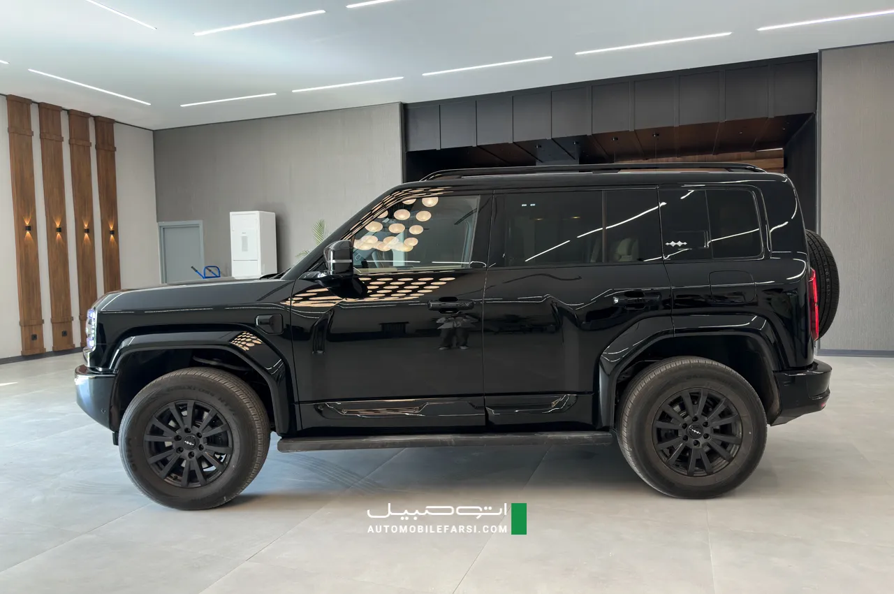 AutomobileFa Tigard Leopard 5 14041206 20