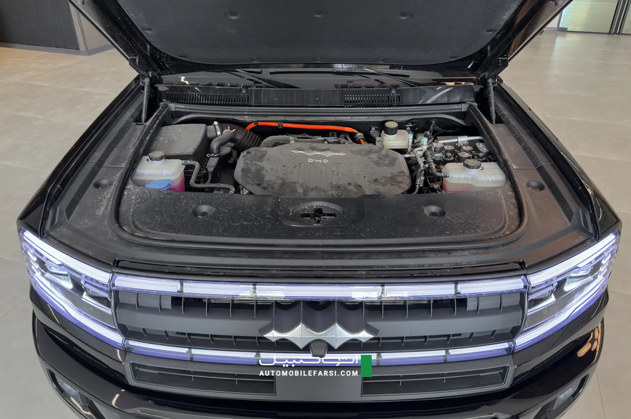 AutomobileFa Tigard Leopard 5 14041206 5