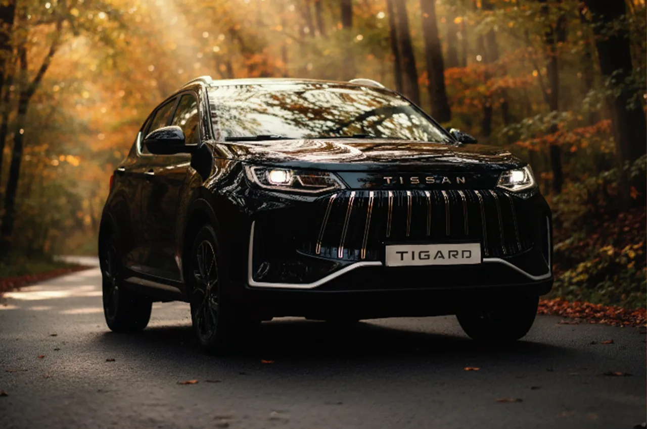 tigard motor TissanS05