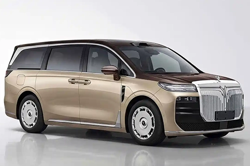 Voya Dreamer 9